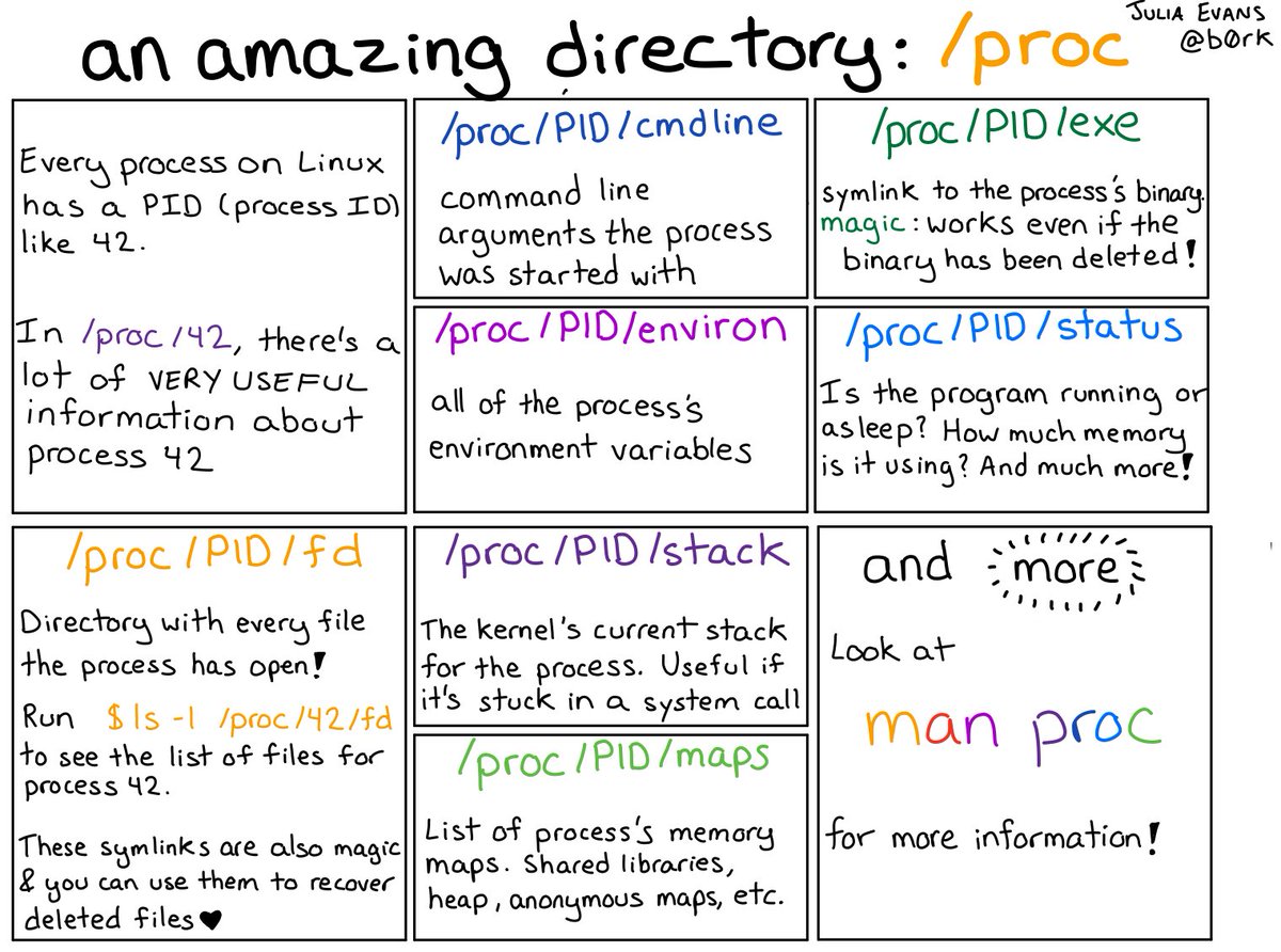 an amazing directory: /proc